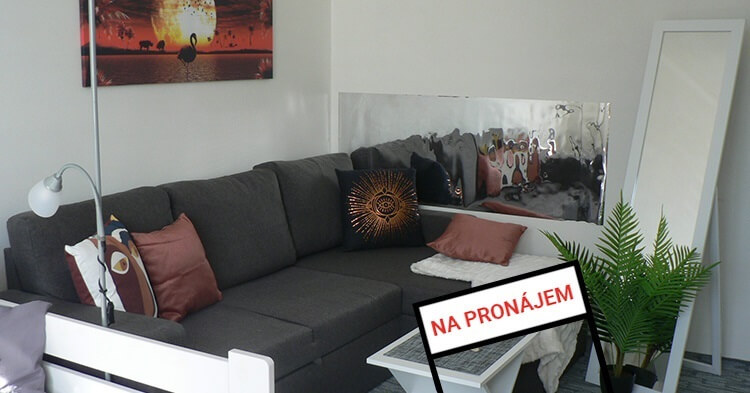 Služby pronájem